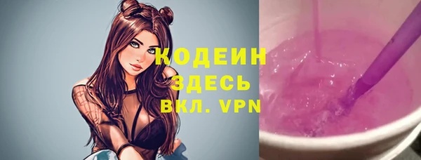 шишки Гусев