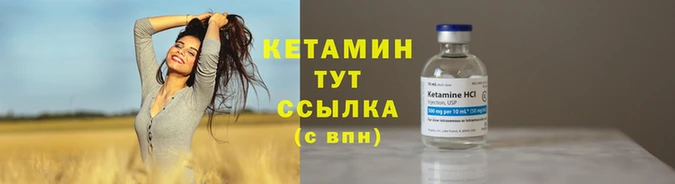 шишки Гусев
