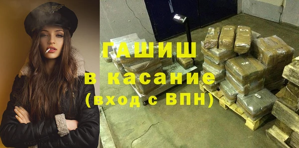 шишки Гусев