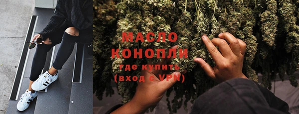 шишки Гусев