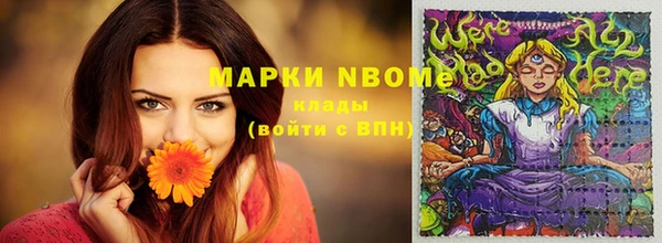 шишки Гусев