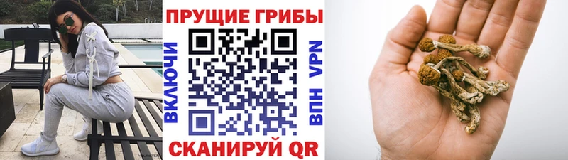 Псилоцибиновые грибы MAGIC MUSHROOMS  Любим 